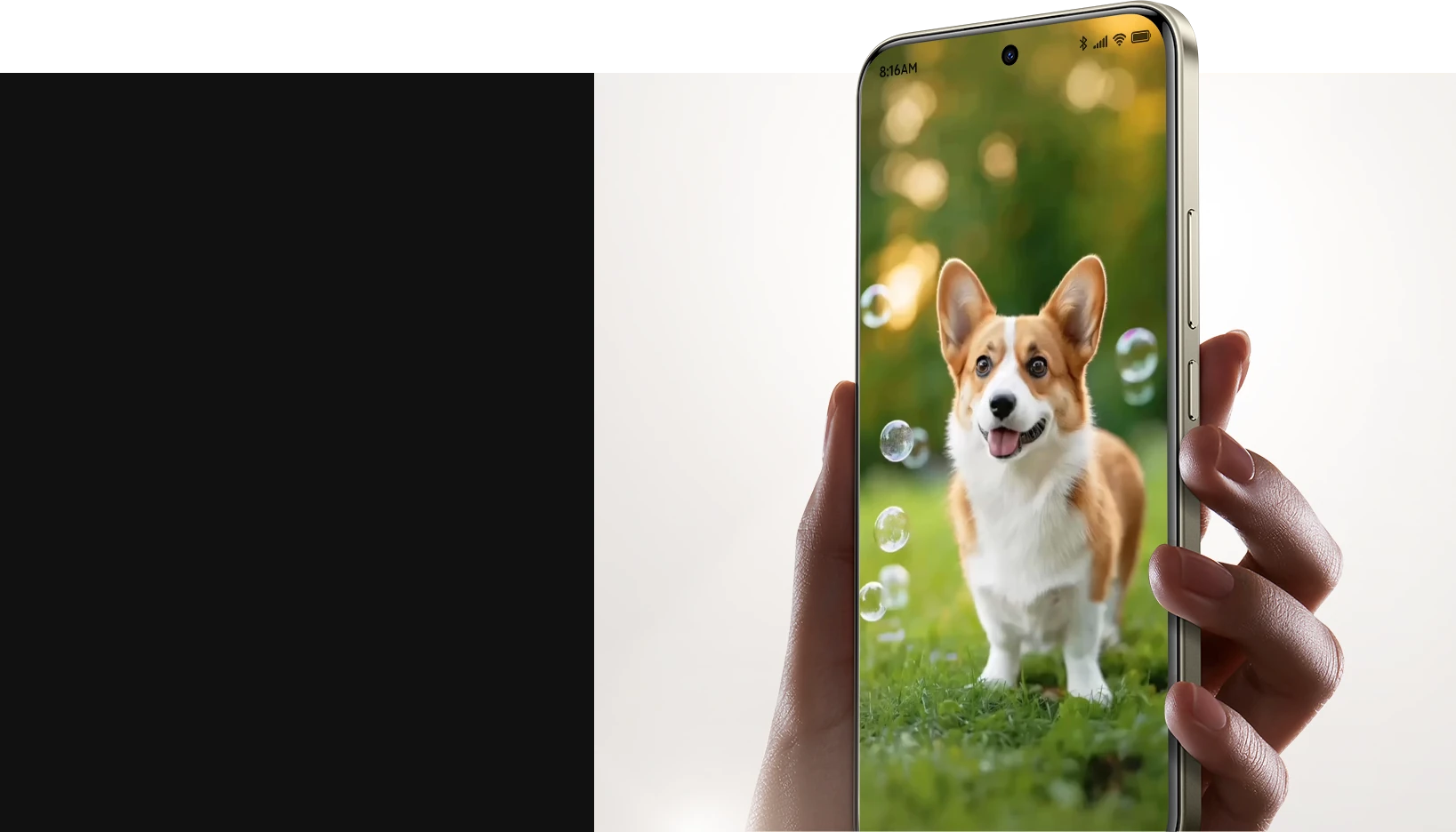 Explore the Xiaomi AI ecosystem