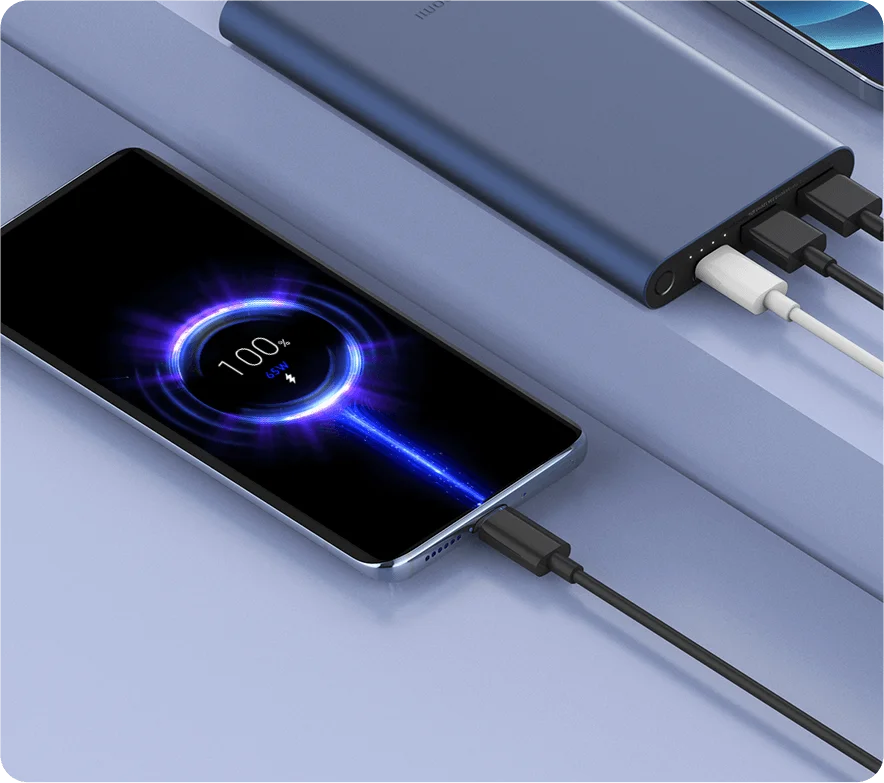 Xiaomi Power Bank 10000mAh 22.5W