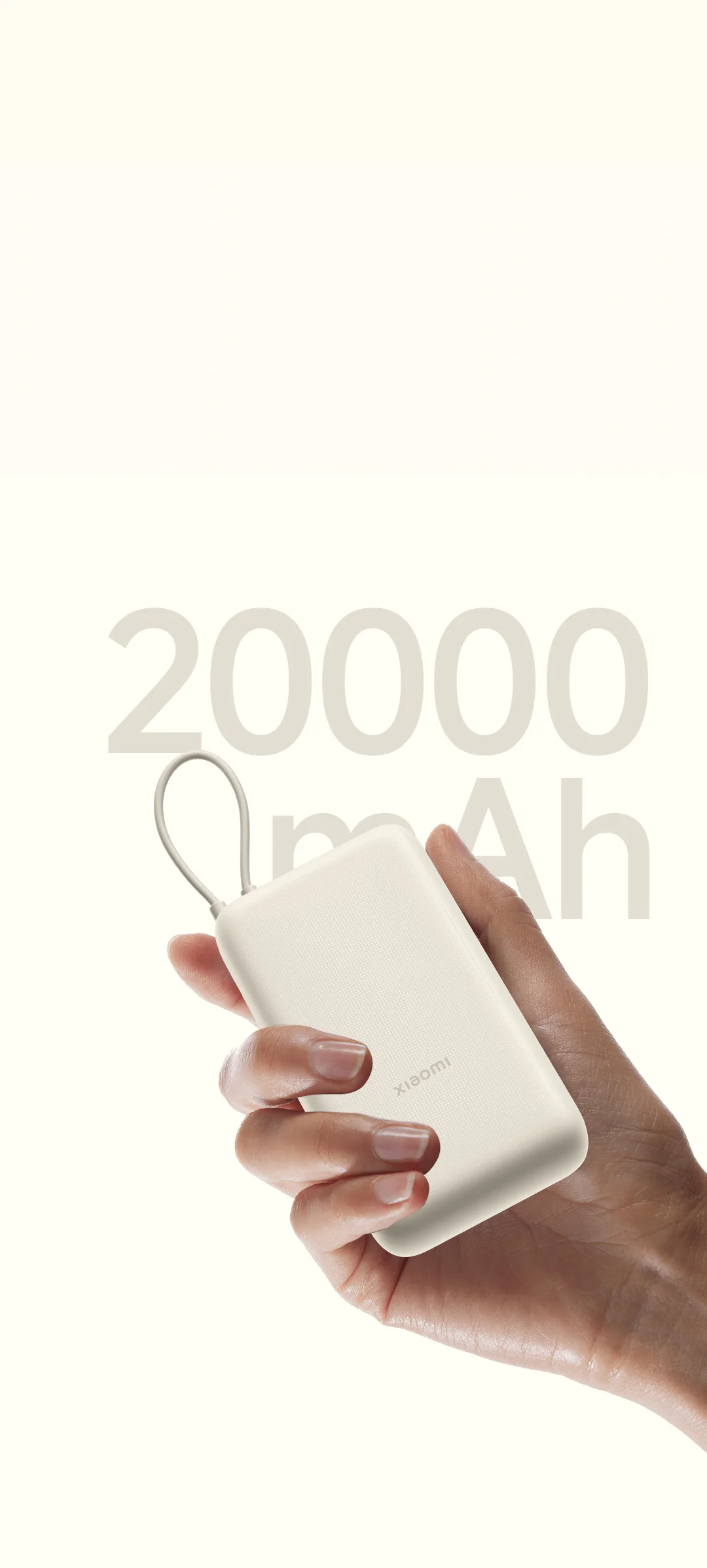 Xiaomi 33W Power Bank 20000mAh Integrated Cable